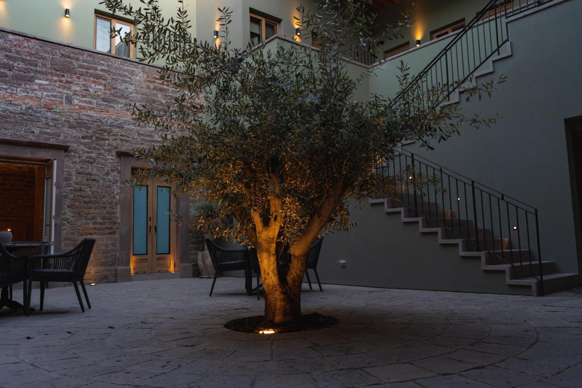 Hotel Casa Aranzazu San Luis Potosi Luaran gambar